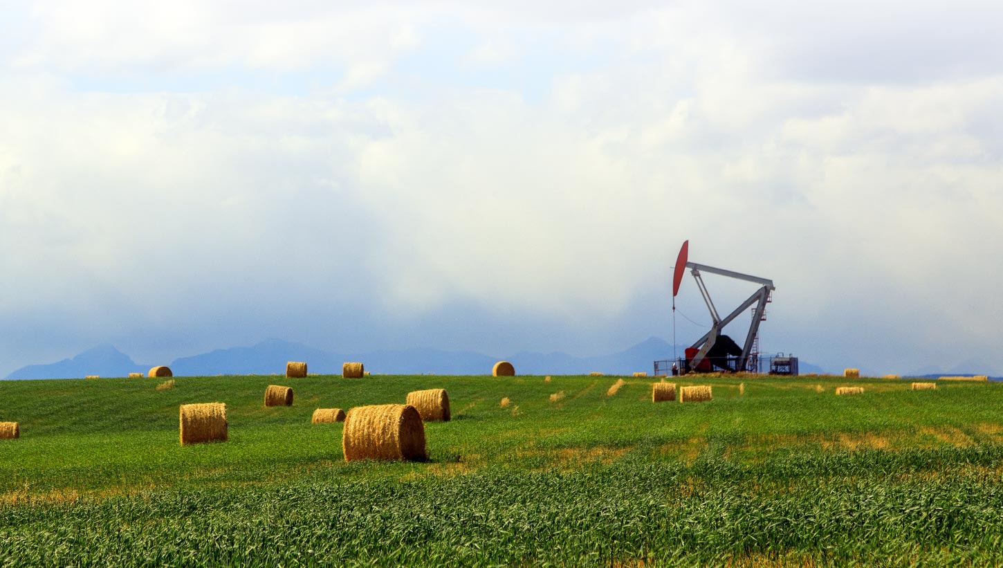 field-with-pumpjack